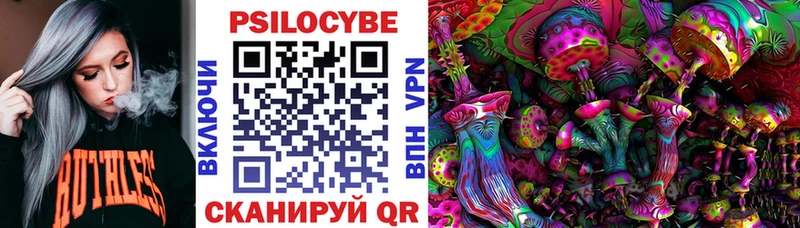 Псилоцибиновые грибы мухоморы  даркнет сайт  Маркс 